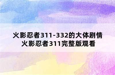 火影忍者311-332的大体剧情 火影忍者311完整版观看